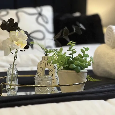 Hayy Signature Collection Apartamento